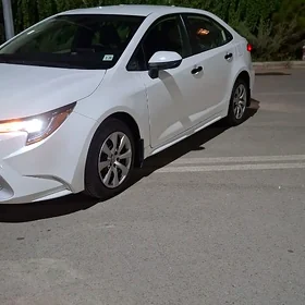 Toyota Corolla 2020