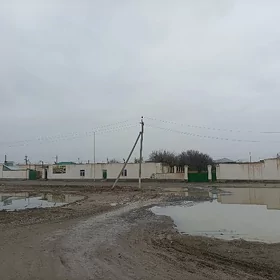 arenda