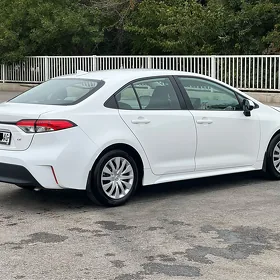 Toyota Corolla 2025