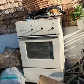 Gaz iki gozlu gowy islap dur