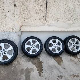 Diska pokrişka karolla