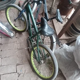kici tigir