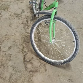 TURKMENİSTAN. tigir