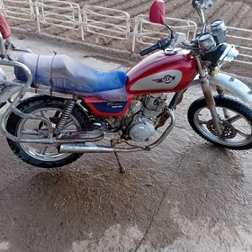 Fekon FK150-8G 2014