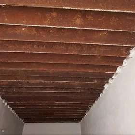 paçak