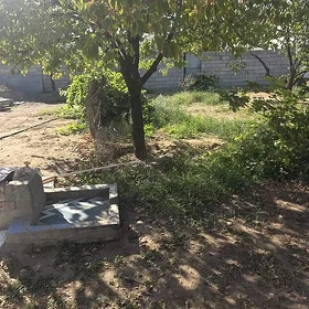 Eýesinden bos mellek ýer