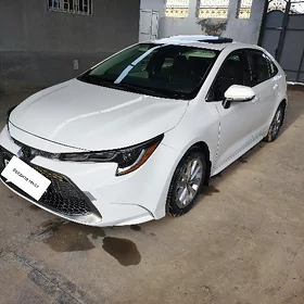 Toyota Corolla 2023