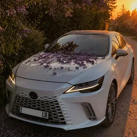 Lexus RX 350 2023