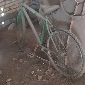 Turkmenistan tigirler