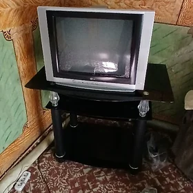 Telewizor