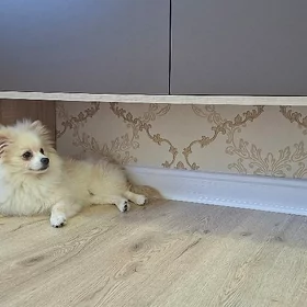 ШПИЦ