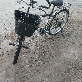 spartivny 26lyk