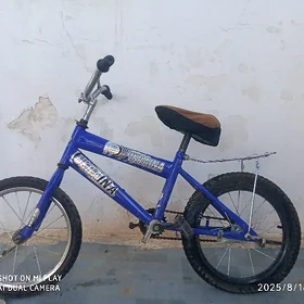 welsoped
