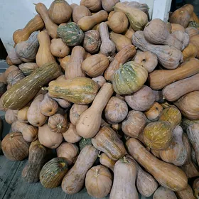Kädi