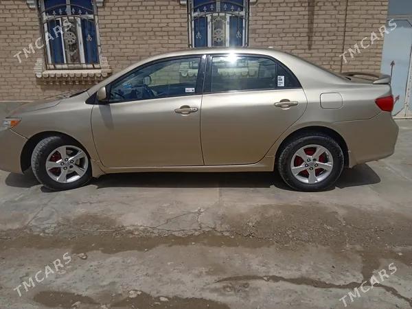 Thumbnail 0