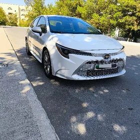 Toyota Corolla 2020