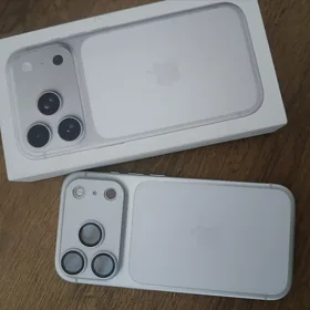 17 pro