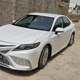 Toyota Camry 2021