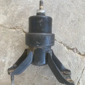 2/2 cemry yzky paduşga
