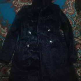 Palto