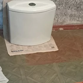 Unitazyň boçogy