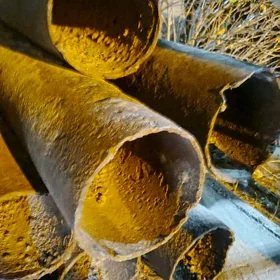 turba1.60