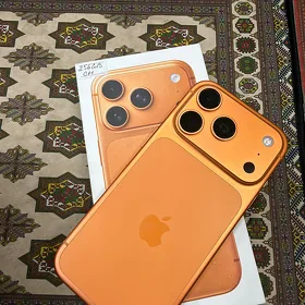 17 pro