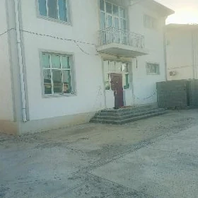kotej