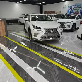 Lexus NX 300 2021