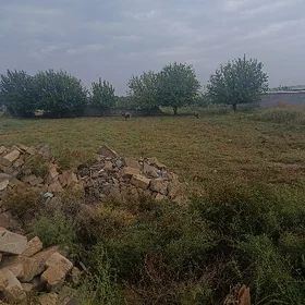 boş mellek ýer
