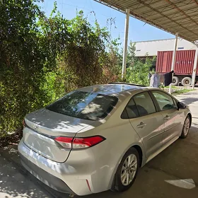 Toyota Corolla 2024
