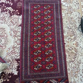 artel halca