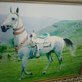 Fotokartina Фотокартина
