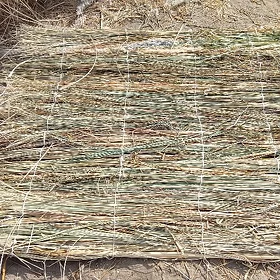 Gamyş mata