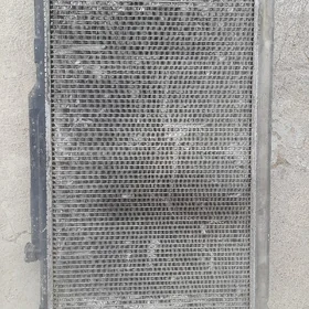 radiator babycka