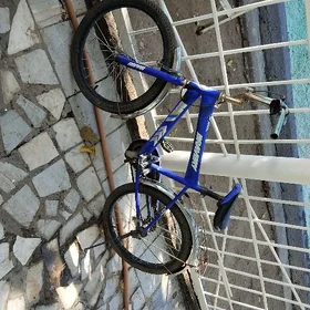 tigir