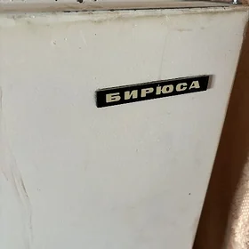 бирюса