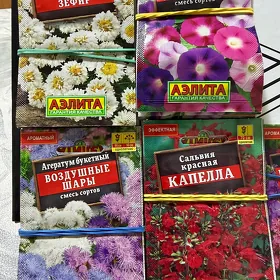 семена semena to him