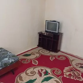 Guwlymayak da kwartira
