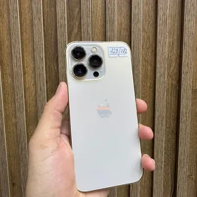 iPhone 13pro