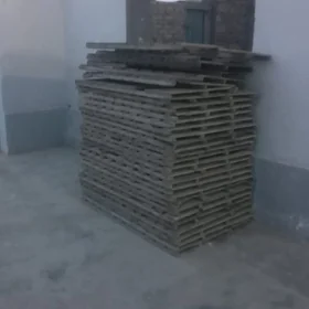 palata padon