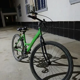 turkmenistan tigir