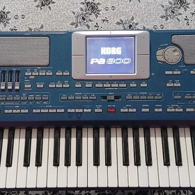 Korg pa800