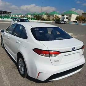 Toyota Corolla 2022