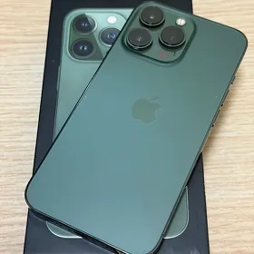 iPhone 13pro