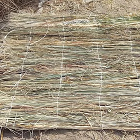 Gamyş mata