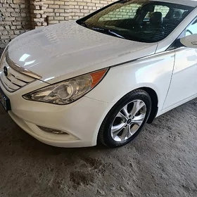 Hyundai Sonata 2010