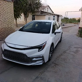 Toyota Corolla 2023