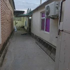 arenda Jay gypjak