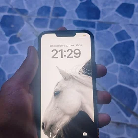 iPhone 13 Pro